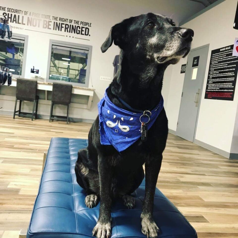Pet of the Day: Sam